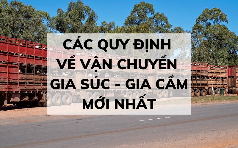 [Cập Nhật 2024] Các Quy Định Cần Biết Về Vận Chuyển Gia Súc Gia Cầm