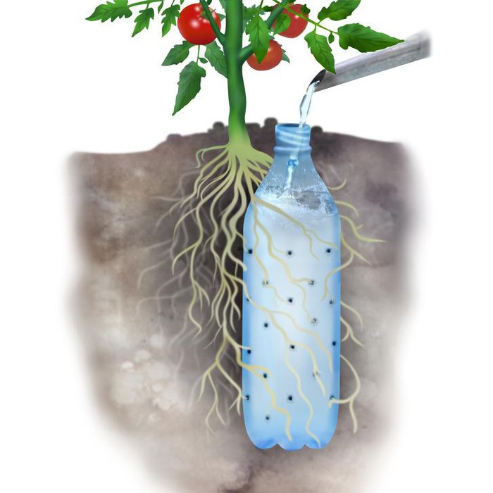 tái chế chai nhựa trồng cây